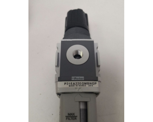 Фильтр Parker P31EA22EGMBNGP